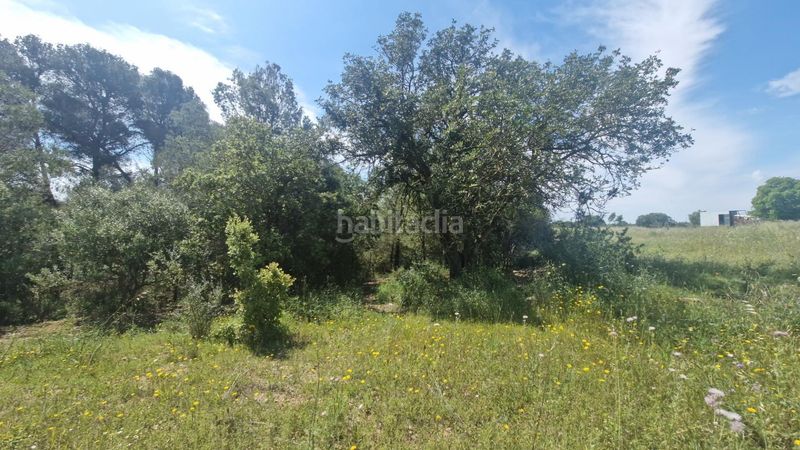 Foto 551397b7-7ded-4aa7-bd77-49b4afaa3eed. Finca rústica a Valls