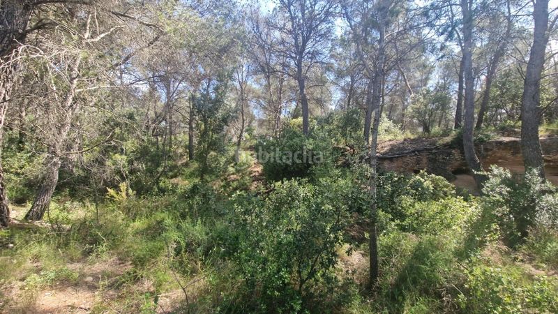 Foto 641896a8-30e7-4302-90dc-1ed8ba7616a8. Finca rústica a Valls
