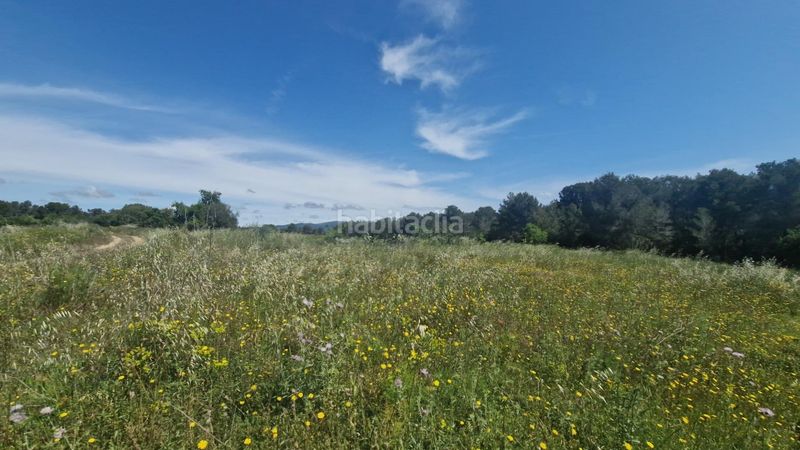 Foto 6af09edd-f71a-4ad0-bd93-50696e5785e4. Finca rústica a Valls