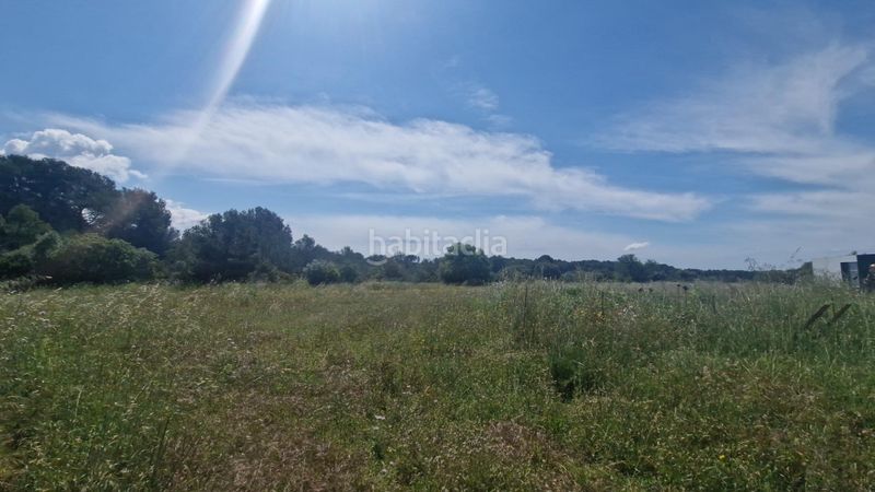 Foto 6d06d811-ae30-4337-8334-b1e86265e024. Finca rústica a Valls