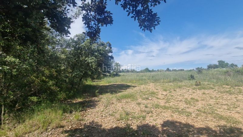 Foto 905e7ffa-c1f1-4205-8400-6adbd00128f0. Finca rústica a Valls