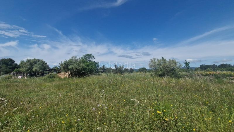 Foto b06f3359-33d7-40f4-9f5f-a4010d3b99dd. Finca rústica a Valls