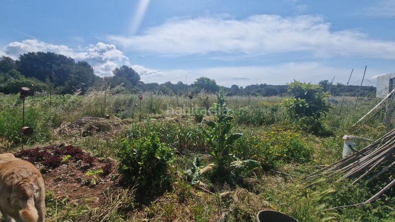 Foto bad353fa-7462-4415-b489-5ae891e9e440. Finca rústica a Valls