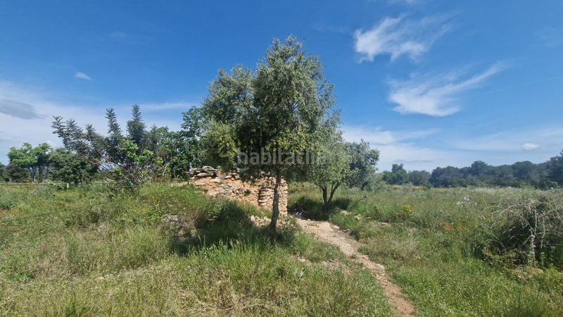 Foto d6f89ba8-ab8f-421e-b604-64dc6ecabff2. Finca rústica a Valls