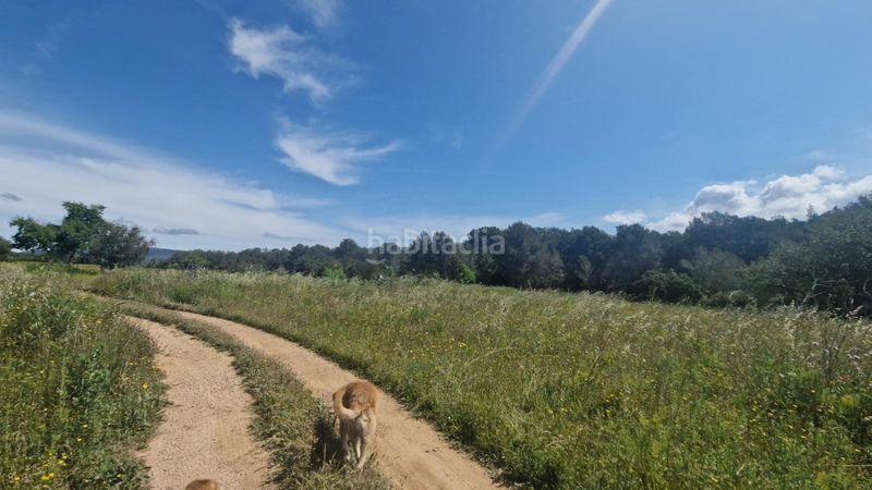 Foto e1a777fb-7e31-4120-a5c8-278a440c099c. Finca rústica a Valls