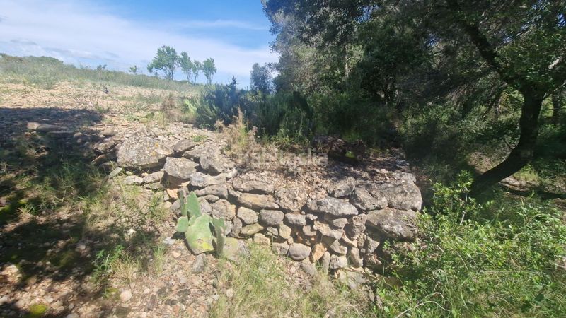 Foto e7a993da-c667-44b6-9c5f-bfee3feaadba. Finca rústica a Valls
