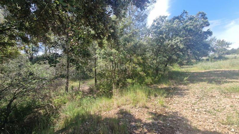 Foto e9bf32af-026f-484c-a37f-e00265176126. Finca rústica a Valls