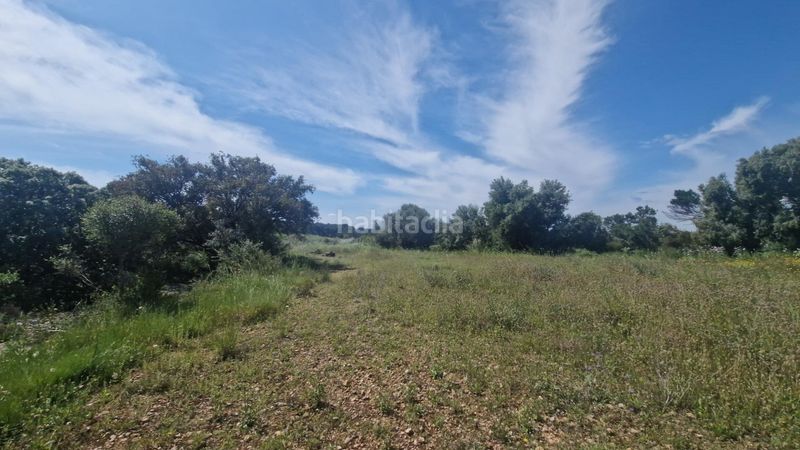 Foto f17d3ab9-512c-4872-b935-9079af1c889f. Finca rústica a Valls