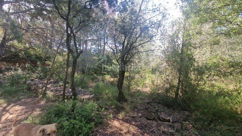 Foto f2c51008-901b-4e26-b836-3b33588ed6c5. Finca rústica a Valls