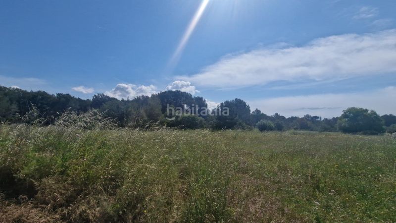 Foto ff423e56-eaee-416f-a6c1-1f6b8f38143f. Finca rústica a Valls