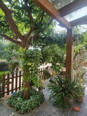 Bauernhof in Llevant. Finca en reus con vivienda urbana.
