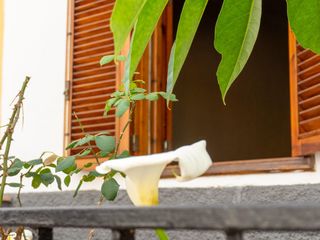 Haus  Calle de echeyde. Oportunidad única en la zamora, los realejos! casa de 2 plantas