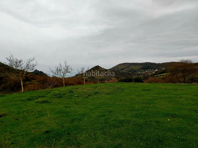 Foto d0da17df-4da5-43d2-ad77-30e919e97197. Finca rústica a Zierbena