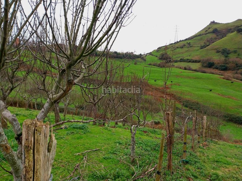 Foto d19867ca-8d04-4e28-8a45-a29a16724fb9. Finca rústica a Zierbena