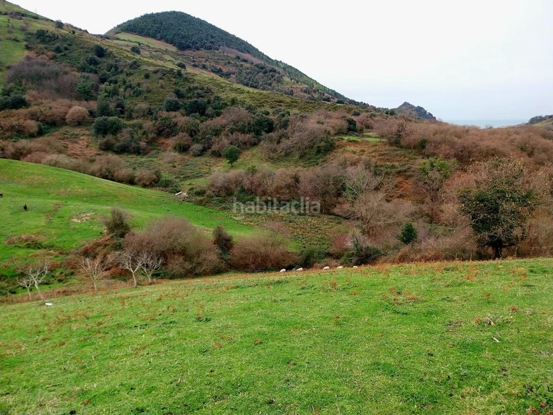Foto d42e47a0-1c70-405e-a1b8-31e86c2b5a7b. Finca rústica a Zierbena