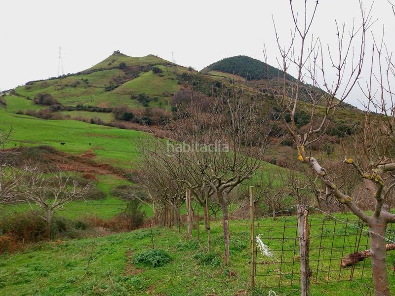 Foto ed4b3098-6ebe-4ed4-b191-7e68d39f7389. Finca rústica a Zierbena