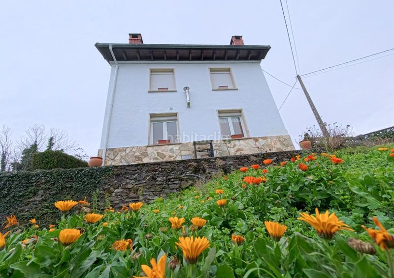 Foto f0230b74-434c-489d-a7d7-8951663ea0e0. Chalet en llanas refugio rural en el corazón de asturias en Aller