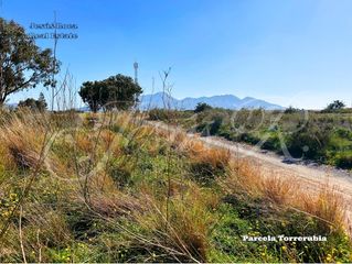 Fondo rustico in Perín. En el paraje de toledano magdalena cartagena se ofrece esta parc