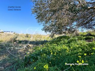 Landgut in Perín. En el paraje de toledano magdalena cartagena se ofrece esta parc