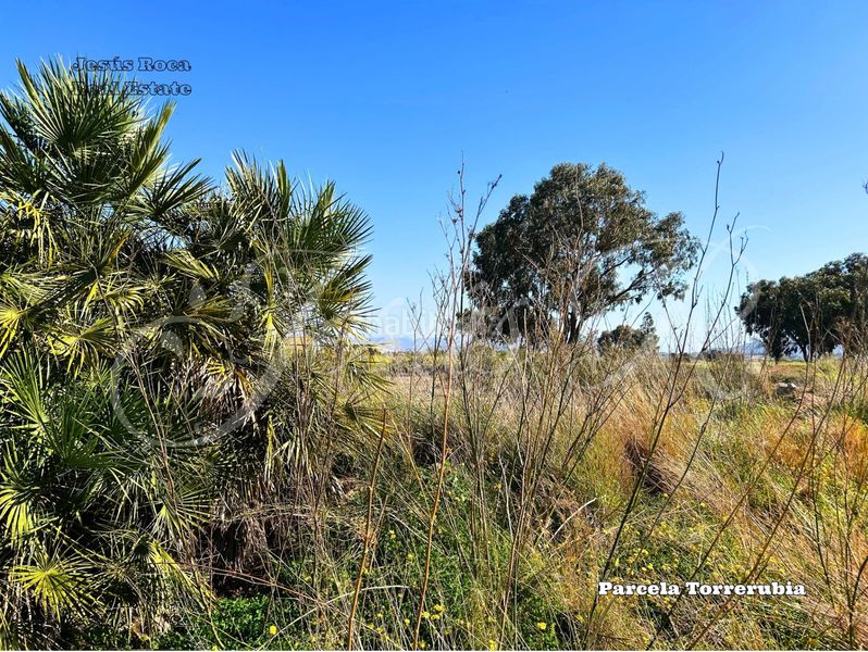 Foto fb34c064-a281-477b-afbb-62a96bc78297. Finca rústica a Perín Cartagena