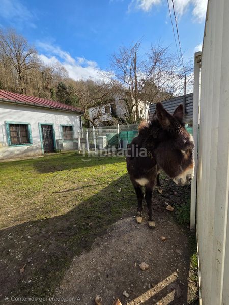 Foto ad426d9c-cadd-4c66-9405-9086c47af3fe. Finca rústica a bendicion 73 a Carbayin-Lieres-Valdesoto Siero