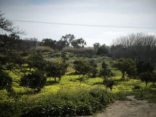 Fondo rustico in Gádor. Parcela de regadío en venta entre gádor y rioja  vereda de quici