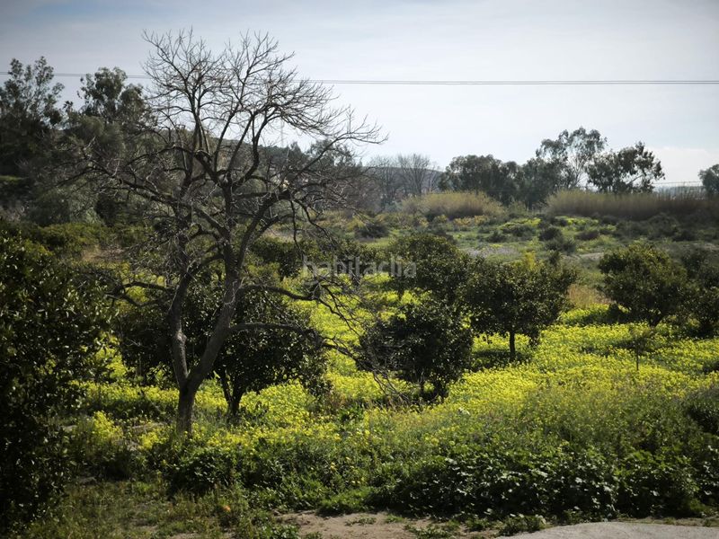 Foto a6d12907-fdac-4dc8-a70b-d67e99fe5611. Finca rústica a Gádor