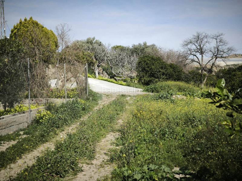 Foto a9a97810-4ece-4097-a55f-f8e39b6b4ea3. Finca rústica a Gádor