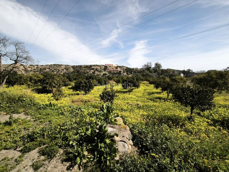 Foto af7d465c-abe7-4882-9663-4168f049733c. Finca rústica a Gádor