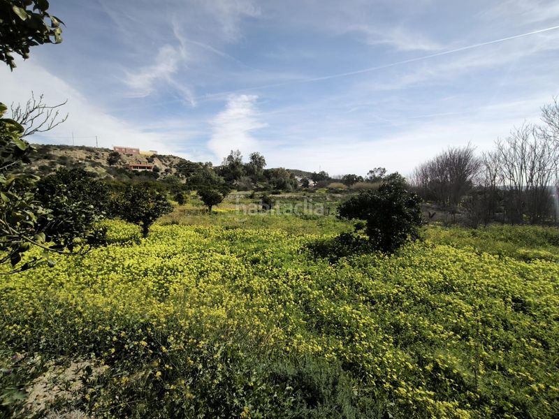 Foto f0bf44ef-a633-47c8-b16d-9ee5b2c45c23. Finca rústica a Gádor