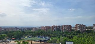 Pis a Calle REYES AIZQUIBEL