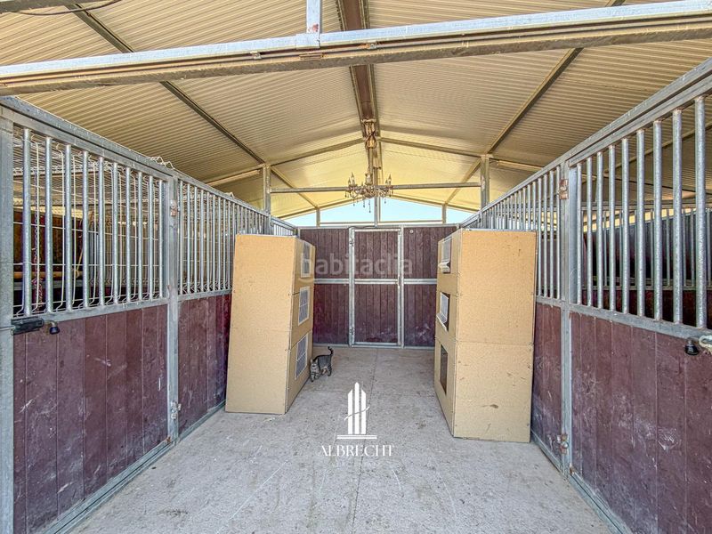 Foto 6d5d003e-c94f-4808-8312-a7b9514839b2. Casa amb calefacció piscina a La Marina Elche / Elx