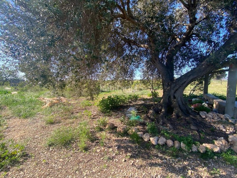 Foto 6f0ed881-6367-47e5-96df-f4036a159e9e. Finca rústica a poligono 19 336 a Partidas de Interior - Zona Rústica Vinaròs