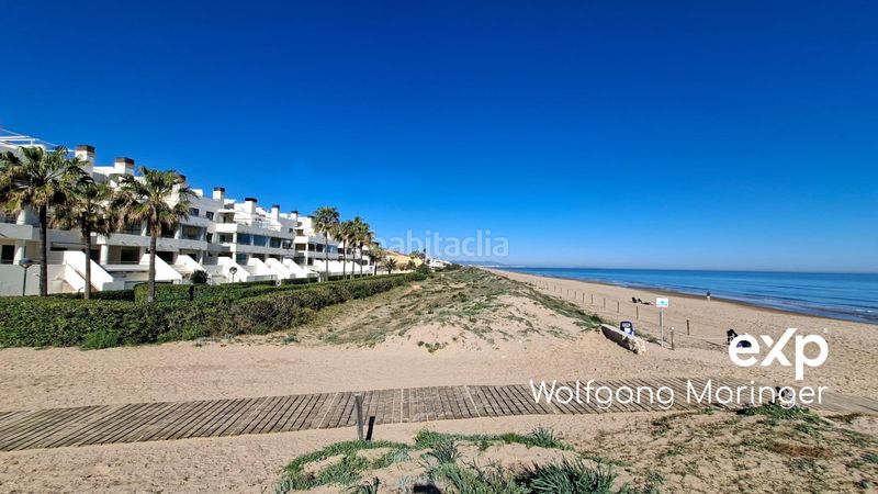 Foto 393034e7-e371-466a-8d7c-ea48a2e9d0a7. Àtic amb calefacció aparcament piscina a Oliva nova Oliva