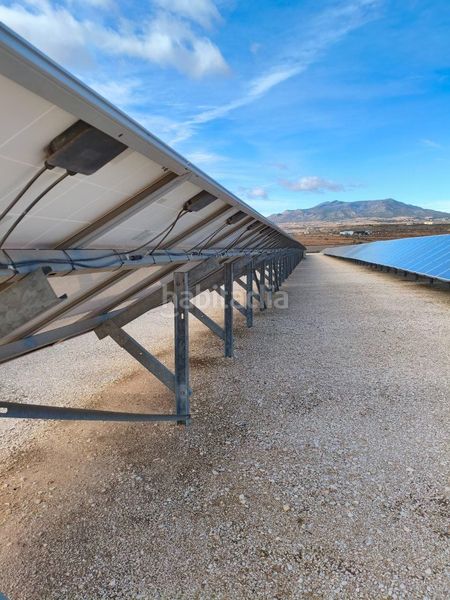 Foto 0ace67bc-566f-4beb-8b0c-35aaa58ab1ca. Finca rústica a Montesinos (Los)