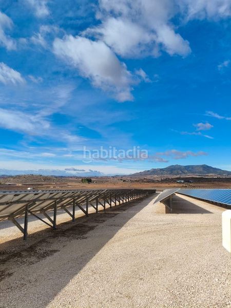 Foto f0427386-7997-45d2-9594-1053270bd924. Finca rústica a Montesinos (Los)