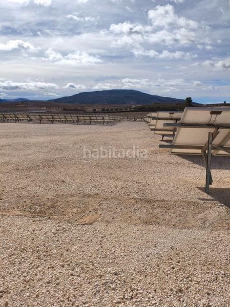 Foto 6d3ab602-1ad2-4d9a-a257-a48a576387b6. Finca rústica a Algorfa