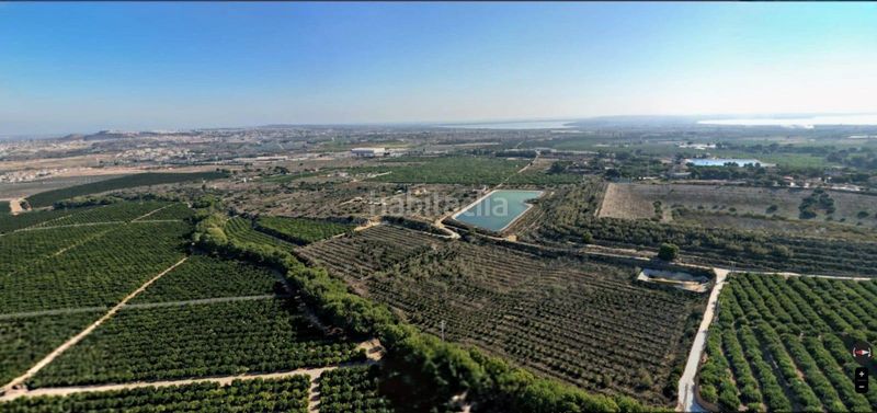 Foto c8cf7588-40bd-4899-9d18-13d84584714c. Finca rústica a Algorfa