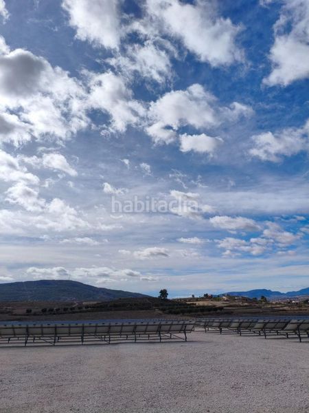 Foto d6b36d8d-4ea5-4dc5-b138-d2ef942a7643. Finca rústica a Algorfa