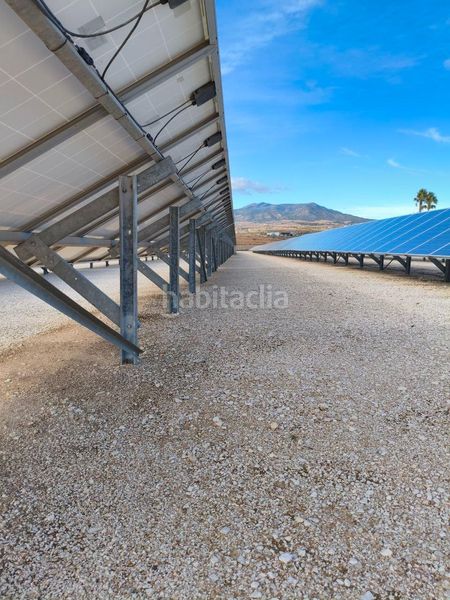 Foto e041b6b7-306c-438f-82ba-0e419f01fb5d. Finca rústica a Algorfa