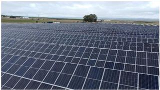 Finca rústica a Algorfa. Doble oportunidad finca con permisos para 2 mw solares fotovolta