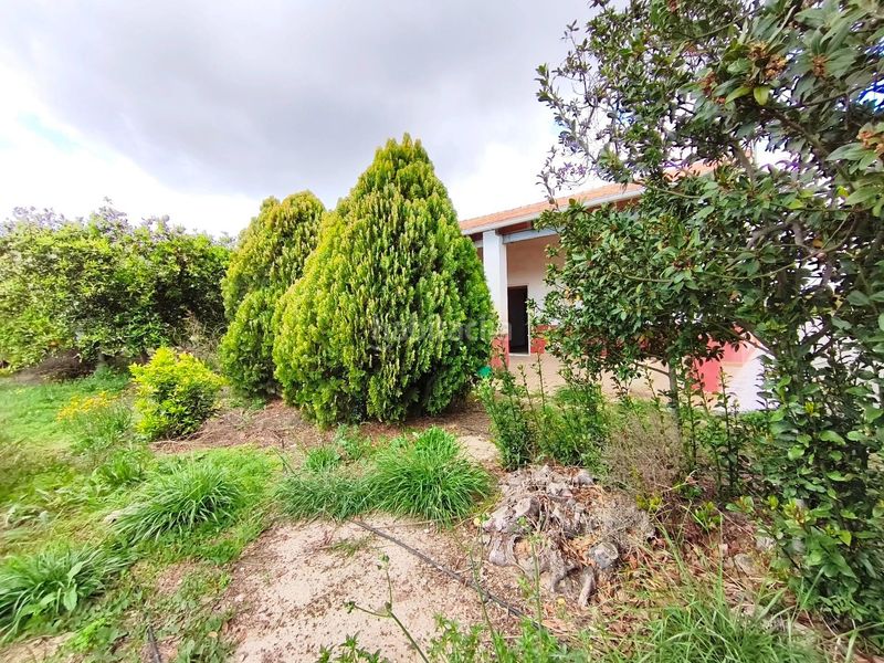 Foto 12f84039-8d5a-4731-b8fb-80938d3ead46. Casa amb aparcament a Las Bayas Elche / Elx