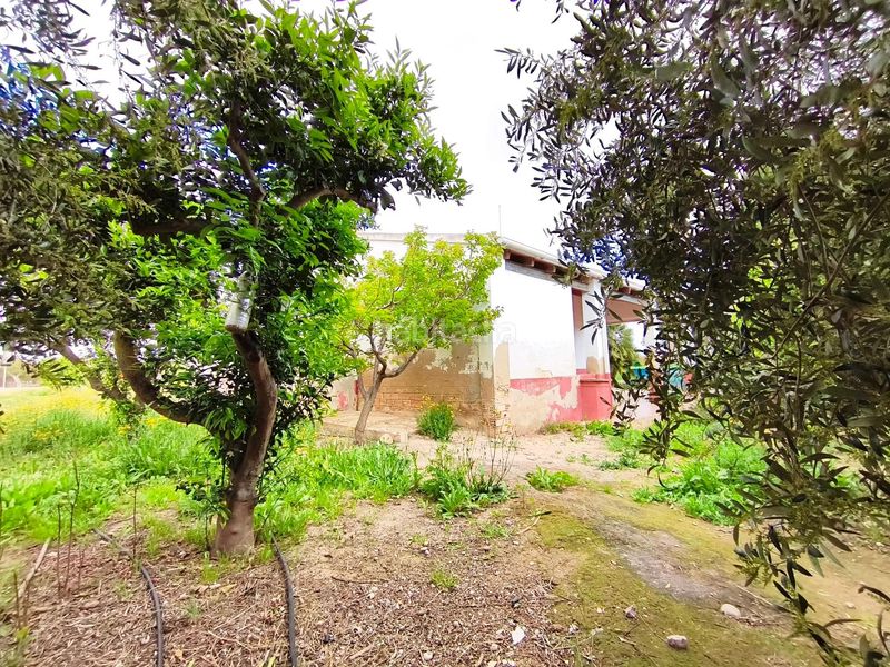 Foto 42b34e20-fec8-41c9-95b5-c83ac22e6923. Casa amb aparcament a Las Bayas Elche / Elx