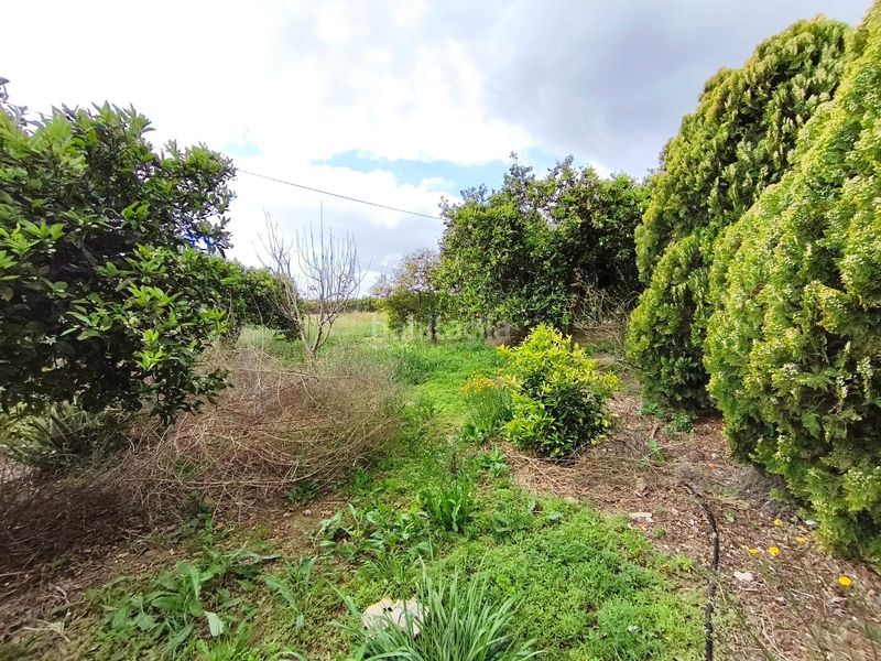 Foto a736bdf1-1799-4364-ae75-816d5dde3a96. Casa amb aparcament a Las Bayas Elche / Elx