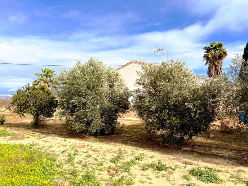 Foto b5921b0e-5166-463e-b89f-ffcf866e2eb2. Casa amb aparcament a Las Bayas Elche / Elx