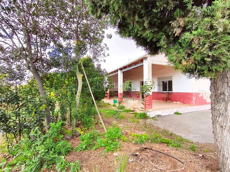 Foto ef946004-7973-4d41-b0c9-60220a84c4b6. Casa amb aparcament a Las Bayas Elche / Elx