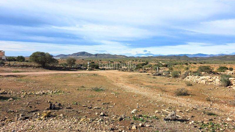 Foto 44784d10-2624-4bb4-804f-50adbeee00d8. Masia a Las Negras Níjar