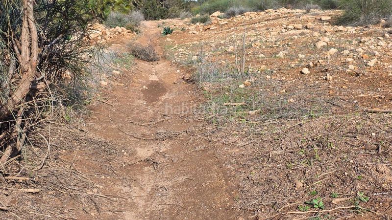 Foto b5827f06-6239-4437-bbee-1f3325e0e9f3. Masia a Las Negras Níjar