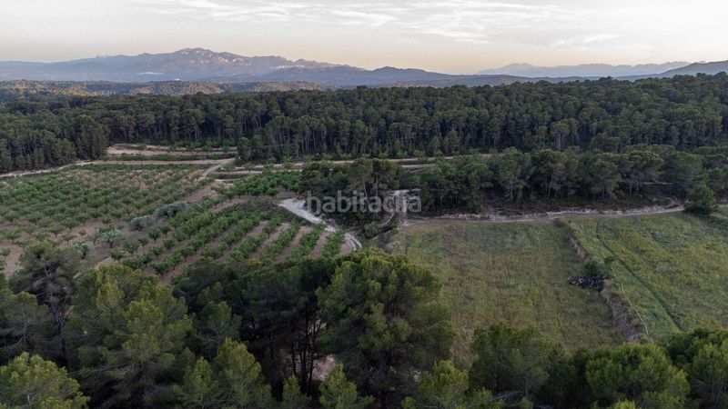 Foto 1096e411-8466-4992-84a5-564ce6b81020. Masia a solanes a Móra d´Ebre