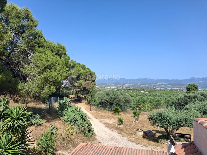Foto 15a34efd-cd7d-4562-b288-eb2fedb7e6fe. Masia a solanes a Móra d´Ebre